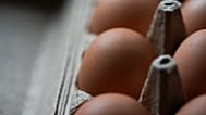 Wegen einem besonders dreisten Fall von Eierklau soll ein 46-Jähriger in Deutschland ins Gefängnis - Symbolbild