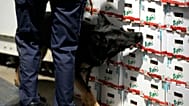 A customs agent works with a drug sniffer dog in the Port of Antwerp on Wednesday, 17 August 2022. 