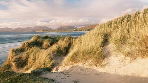 Ulva is an island in the Inner Hebrides. 