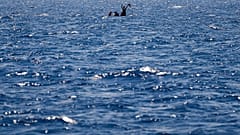 Migrantes de Siria y Libia piden ayuda mientras son asistidos por la ONG española Open Arms en el mar Mediterráneo, diez de agosto de 2022