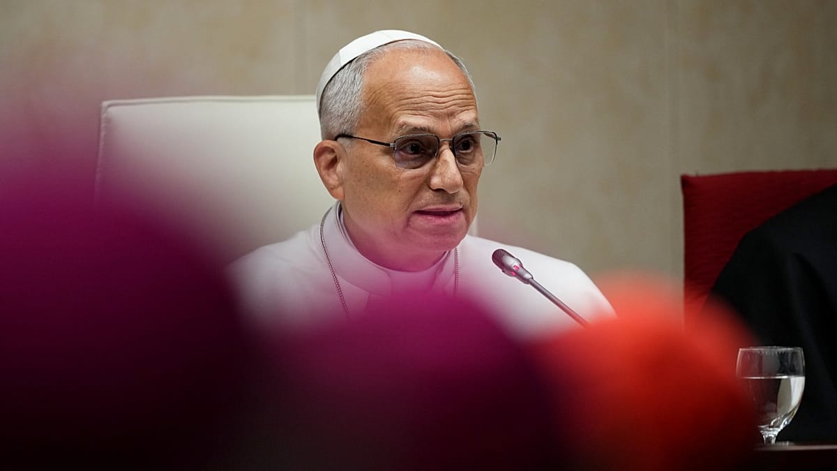 Papa Leão XIV chama "praga" aos abusos na Igreja e
