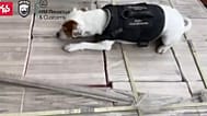 Służby przechwyciły ponad tonę heroiny w porcie w Gdyni. 