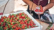 These are the best fruits and vegetables for your heart health.