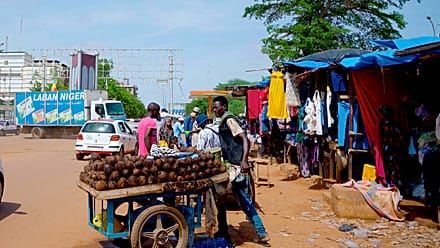 Niger inaugurates new power plant to ease electricity cuts
