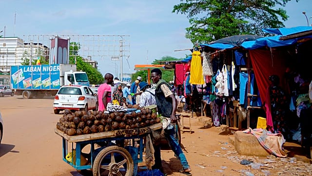 Niger inaugurates new power plant to ease electric
