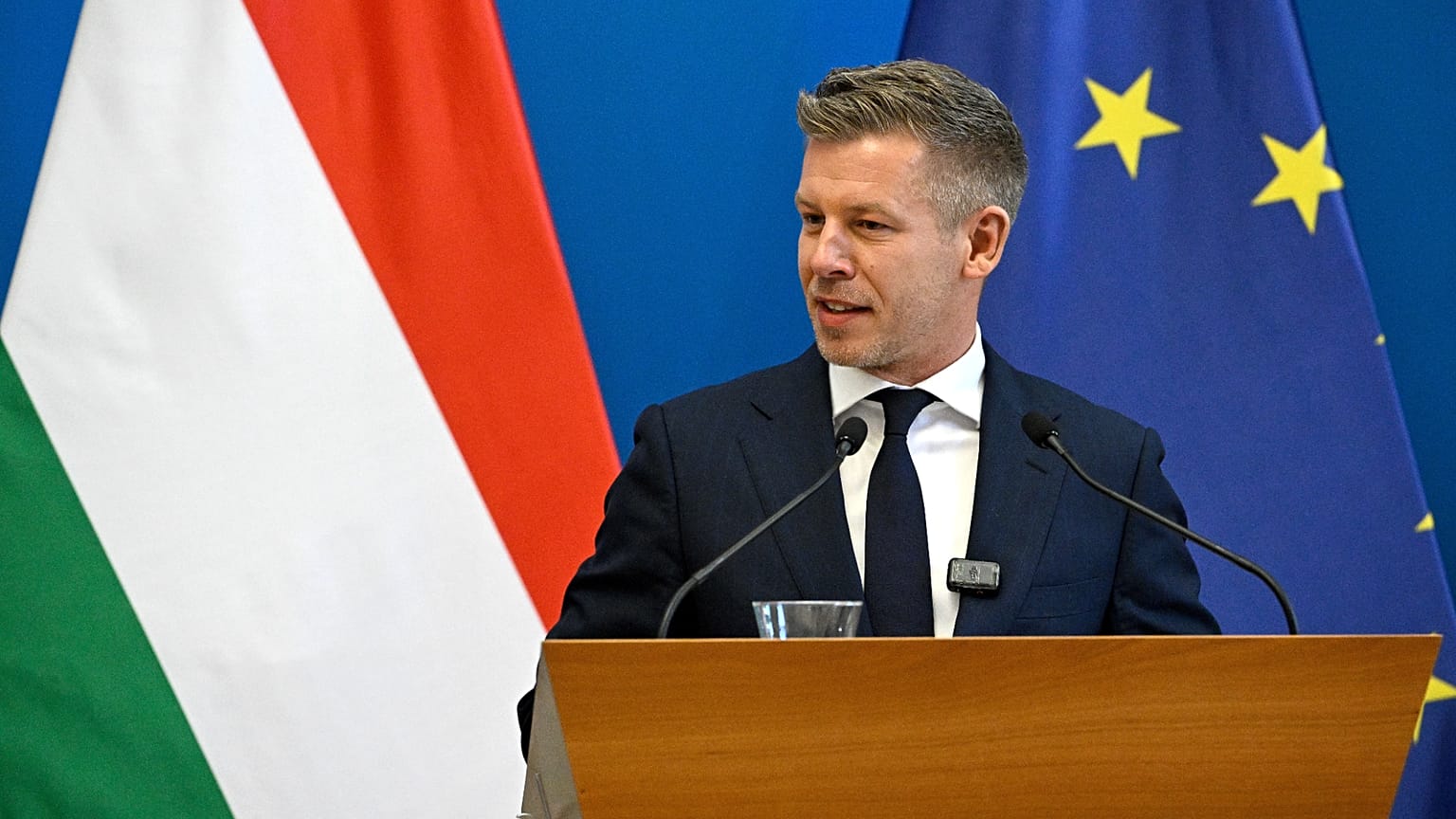 Инициатором проекта выступила партия венгерского премьер Петера Мадьяра