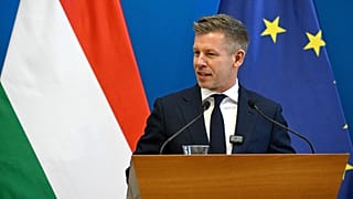 Инициатором проекта выступила партия венгерского премьер Петера Мадьяра