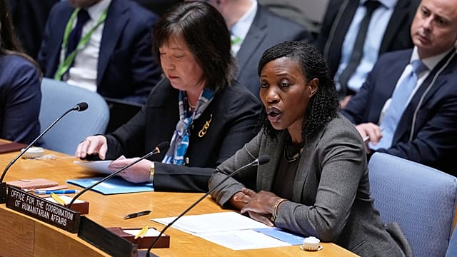 Ghana’s Edem Wosornu appointed to top UN refugee p