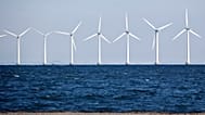 "Gute Krise nicht verschlafen": Polen und Deutsche wollen Ostsee-Windparks - 90 GW-Potential