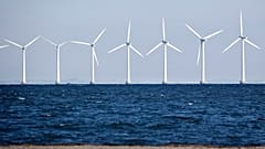 "Gute Krise nicht verschlafen": Polen und Deutsche wollen Ostsee-Windparks - 90 GW-Potential