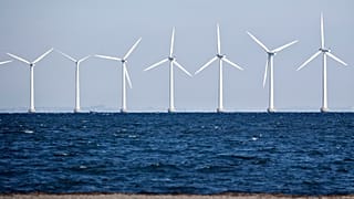 "Gute Krise nicht verschlafen": Polen und Deutsche wollen Ostsee-Windparks - 90 GW-Potential