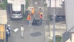 Japan: Bär nach tagelanger Suche in Stadt gefasst