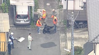 Capturam urso em cidade japonesa após vários dias de caça