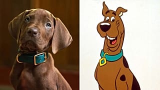 Zoinks! Fans outraged over four-legged star of Scooby-Doo live-action reboot