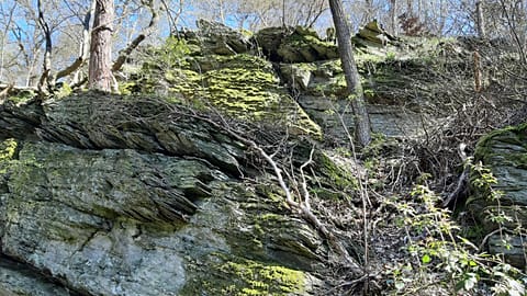 Slate outcrop on the Dombach, Bad Camberg