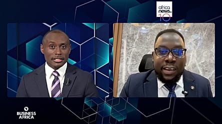 Energy security: Heat waves test Africa's power grids [Business Africa]