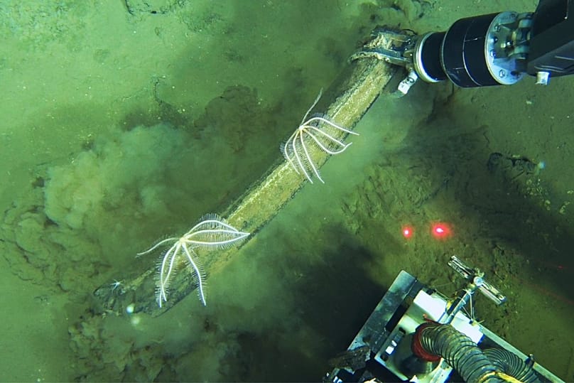 The nature of the deep ocean makes these sites exceptionally difficult to locate according to the scientists. 8 February, 2023