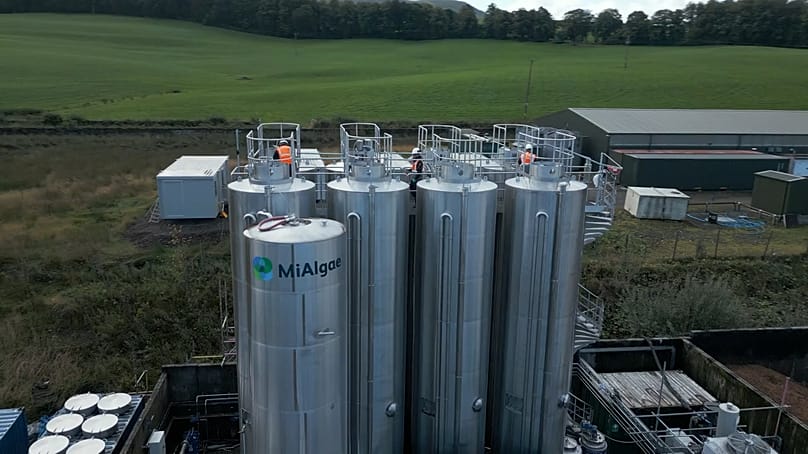 Cuves de production de MiAlgae