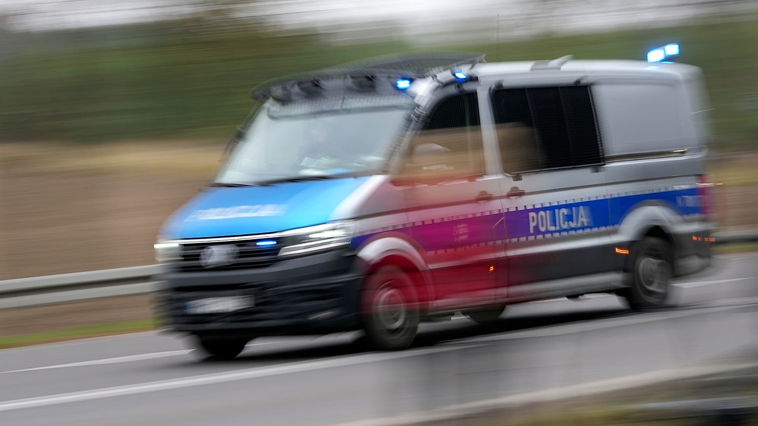 Polska policja