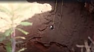 ‘Spider-Man of Yemen’ dies in fall while climbing volcanic crater