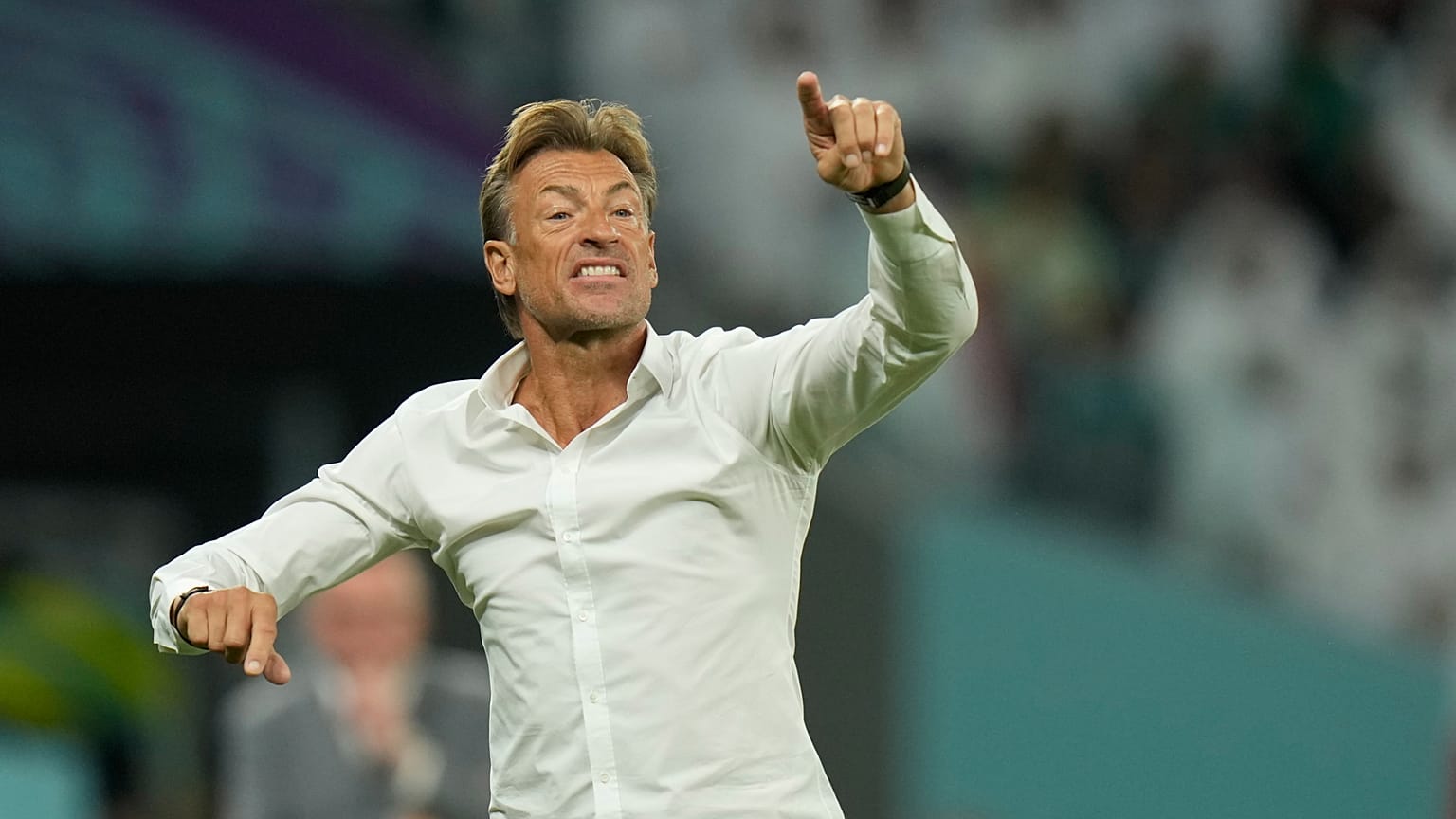 هيرفي رينارد وهو يعطي التعليمات من الخط الجانبي خلال مباراة كأس العالم للمجموعة الثالثة لكرة القدم بين بولندا والمملكة العربية السعودية