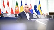 Fulvio Martusciello is serving his third term as an MEP.