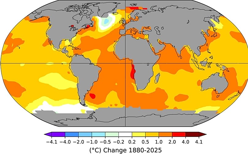 1880-2025 döneminde deniz yüzeyi sıcaklığının (°C) doğrusal eğilimi
