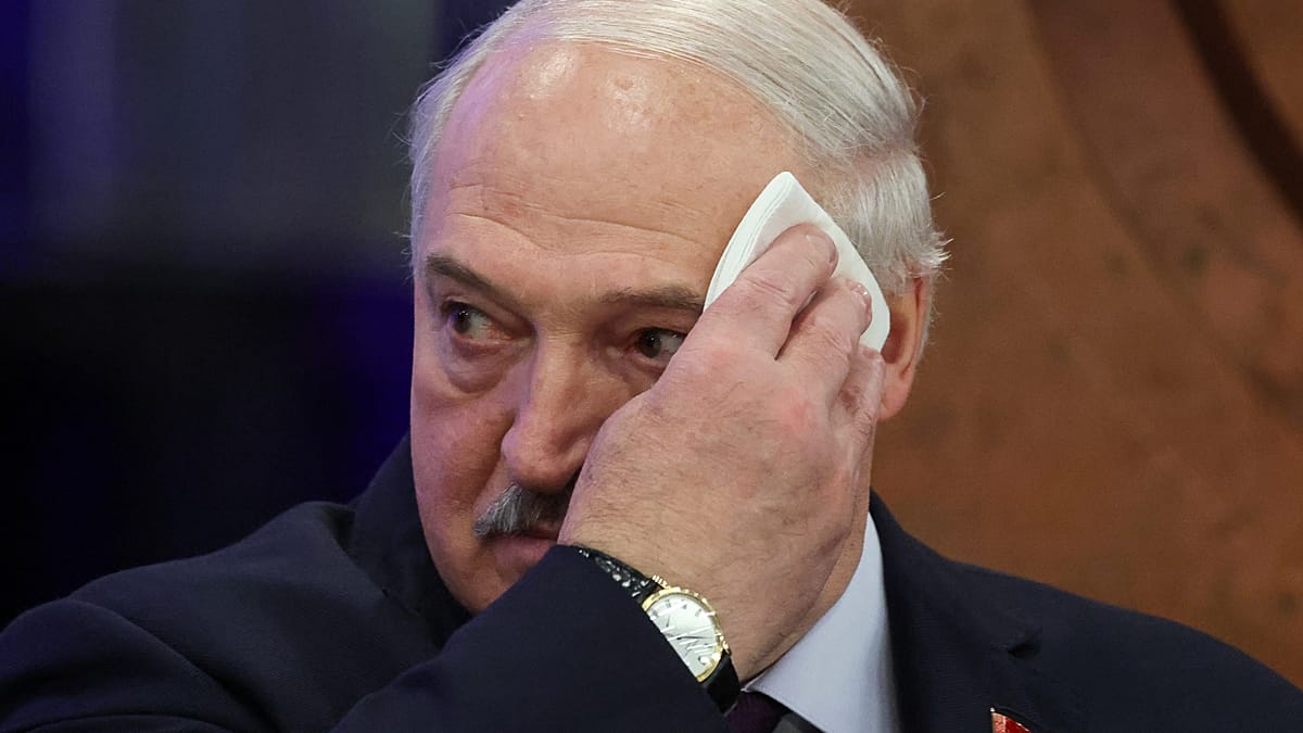 Lukashenka apologises to ‘young and inexperienced’ Zelenskyy Lukashenka apologises to ‘young and inexperienced’ Zelenskyy
