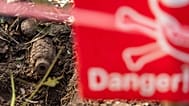 A Soviet-made POMZ-2M landmine is detected on a landmine field in Siem Reap, 10 June, 2025