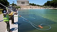 Members of the National Park Service clean algae from the Lincoln Memorial Reflecting Pool