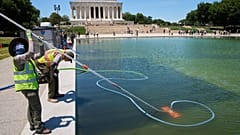 Members of the National Park Service clean algae from the Lincoln Memorial Reflecting Pool