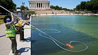 Members of the National Park Service clean algae from the Lincoln Memorial Reflecting Pool