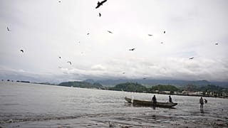 Africa urgently needs more fish farms, UN tells ocean conference