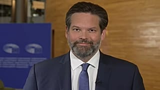 Lukas Mandl, con 'Euronews'