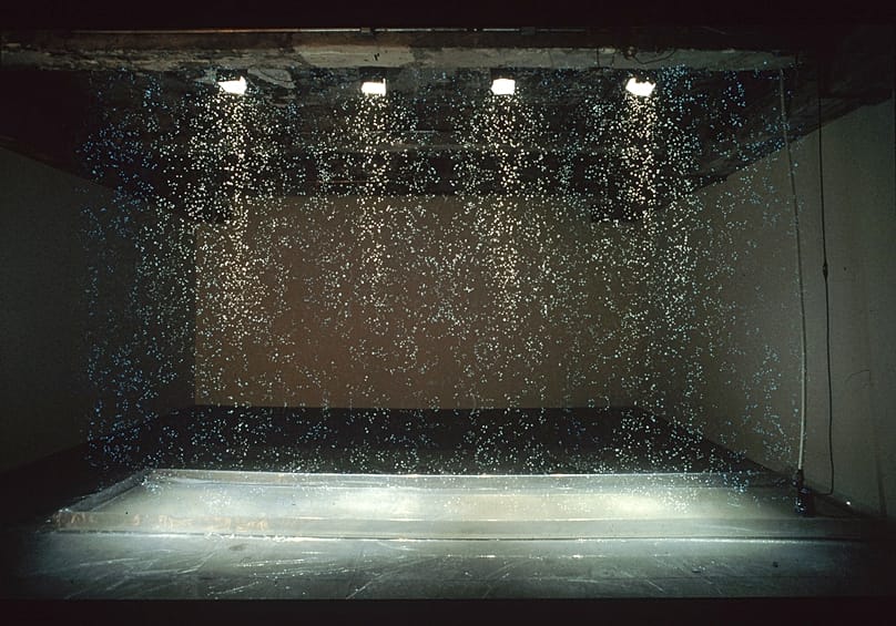 Olafur Eliasson, Your Strange Certaintly Still Kept,  1996