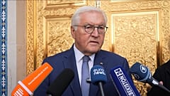Federal President of the Federal Republic of Germany Frank-Walter Steinmeier, replies to Euronews question in Tashkent