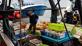 French fishermen arrive in the port of Granville, 2 November, 2021
