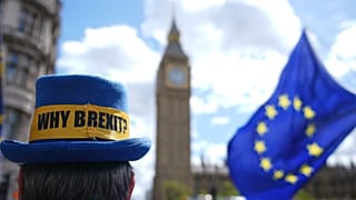 Pro-EU campaigner Steve Bray stands near parliament in London, UK, 20 May 2026