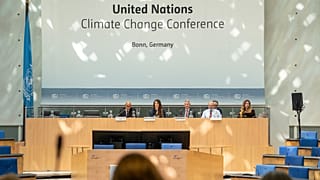 June climate meetings at Bonn.