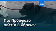Ειδήσεις | 19 Ιουνίου 2026 - Βραδινό δελτίο
