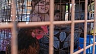 دختربچه‌ای در میان وسایل خانواده در جریان موج آوارگی ساکنان جنوب لبنان 