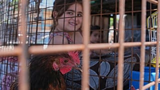 دختربچه‌ای در میان وسایل خانواده در جریان موج آوارگی ساکنان جنوب لبنان 