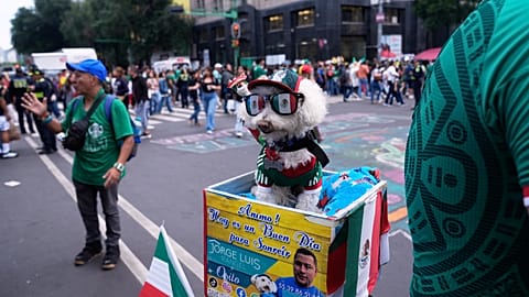 A dog named Osito wears a Mexico national team jersey and rides in a bicycle basket of Jorge Rangel 