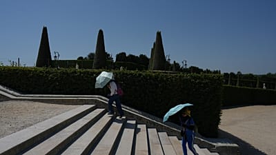 A versailles-i kastély kertjében sétáló látogatók hőhullám idején napernyőkkel védekeznek a nap ellen.