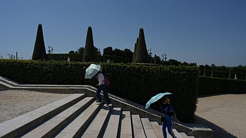 Visitors shield themself from the sun with umbrellas as they walk in the garden of the Palace of Versailles, during a heat wave. 