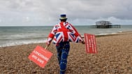 Brexitellenes aktivista