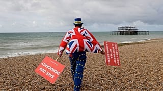 Brexitellenes aktivista