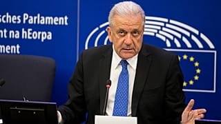 Δημήτρης Αβραμόπουλος, πρώην Επίτροπος Μετανάστευσης, Εσωτερικών Υποθέσεων και Ιθαγένειας της Ευρωπαϊκής Ένωσης