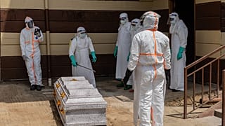 L'OMS alerte sur l'ampleur de l'épidémie d'Ebola, la FAO s'inquiète d'El Niño