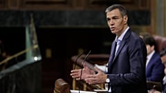 Sánchez en el Congreso de los Diputados.